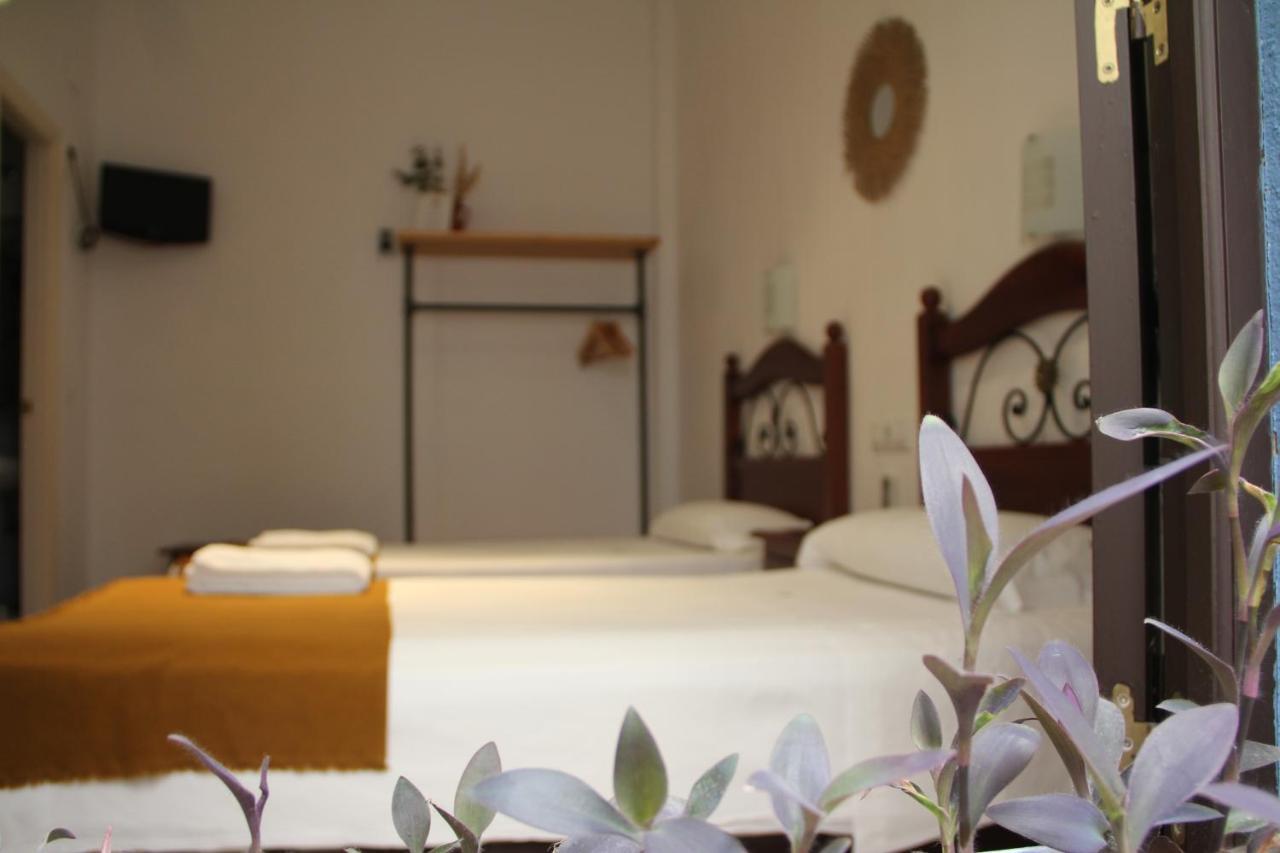 La Piquera Hostal 科爾多瓦 外观 照片